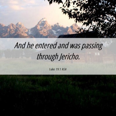 Picture 06 - Luke 19:1 ASV - And he entered and was passing through - Bible Verse Picture