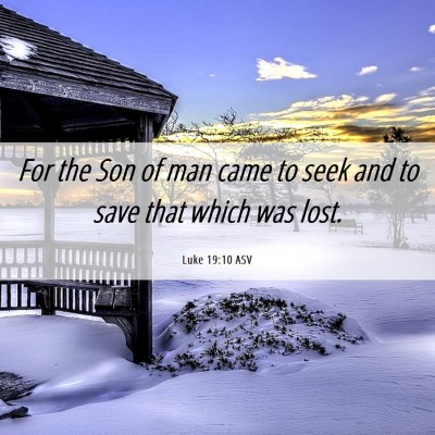 Picture 06 - Luke 19:10 ASV - For the Son of man came to seek and to save that - Bible Verse Picture