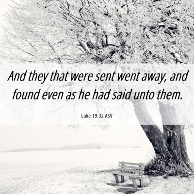 Picture 06 - Luke 19:32 ASV - And they that were sent went away, and found even - Bible Verse Picture