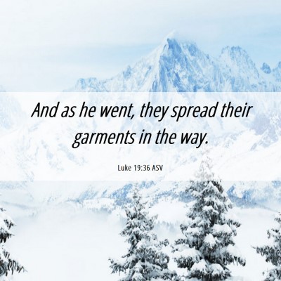 Picture 06 - Luke 19:36 ASV - And as he went, they spread their garments in the - Bible Verse Picture