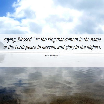 Picture 06 - Luke 19:38 ASV - saying, Blessed `is' the King that cometh in the - Bible Verse Picture