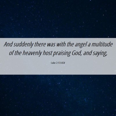 Picture 06 - Luke 2:13 ASV - And suddenly there was with the angel a multitude - Bible Verse Picture