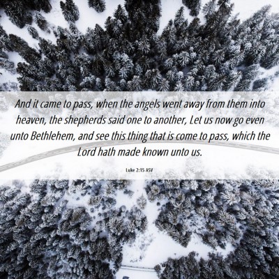 Picture 06 - Luke 2:15 ASV - And it came to pass, when the angels went away - Bible Verse Picture