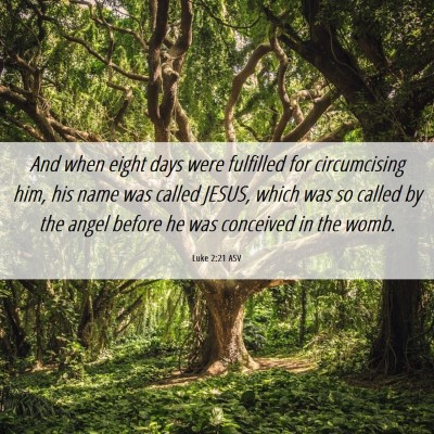 Picture 06 - Luke 2:21 ASV - And when eight days were fulfilled for - Bible Verse Picture