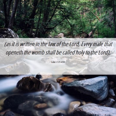 Picture 06 - Luke 2:23 ASV - (as it is written in the law of the Lord, Every - Bible Verse Picture