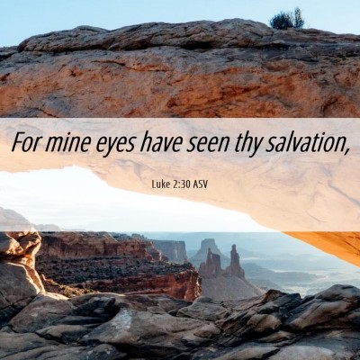 Picture 06 - Luke 2:30 ASV - For mine eyes have seen thy - Bible Verse Picture