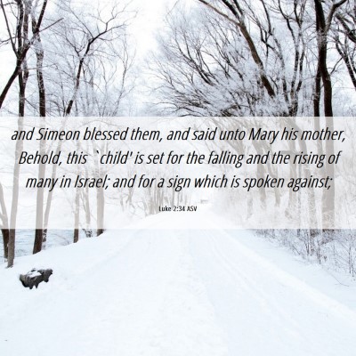 Picture 06 - Luke 2:34 ASV - and Simeon blessed them, and said unto Mary his - Bible Verse Picture