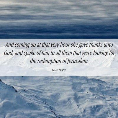 Picture 06 - Luke 2:38 ASV - And coming up at that very hour she gave thanks - Bible Verse Picture