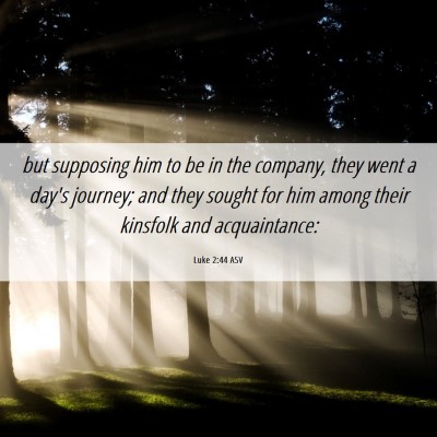 Picture 06 - Luke 2:44 ASV - but supposing him to be in the company, they went - Bible Verse Picture
