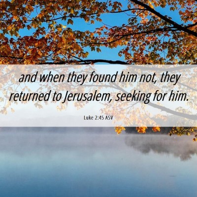 Picture 06 - Luke 2:45 ASV - and when they found him not, they returned to - Bible Verse Picture