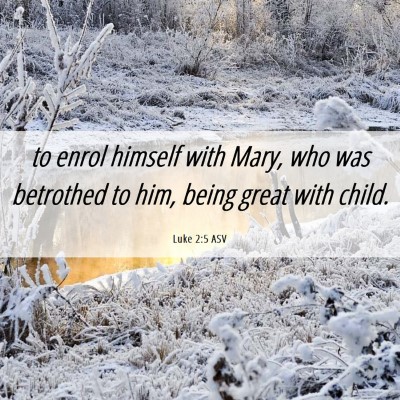 Picture 06 - Luke 2:5 ASV - to enrol himself with Mary, who was betrothed to - Bible Verse Picture