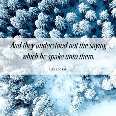 Picture 06 - Luke 2:50 ASV - And they understood not the saying which he spake - Bible Verse Picture