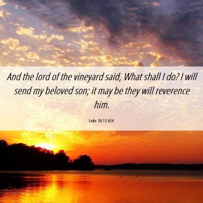Picture 06 - Luke 20:13 ASV - And the lord of the vineyard said, What shall I - Bible Verse Picture