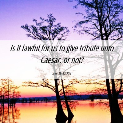 Picture 06 - Luke 20:22 ASV - Is it lawful for us to give tribute unto Caesar, - Bible Verse Picture