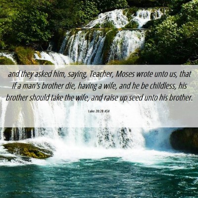 Picture 06 - Luke 20:28 ASV - and they asked him, saying, Teacher, Moses wrote - Bible Verse Picture