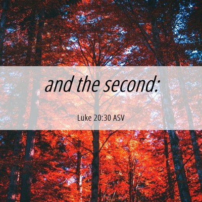 Picture 06 - Luke 20:30 ASV - and the - Bible Verse Picture