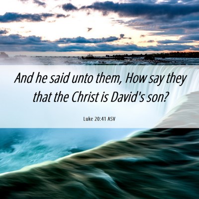 Picture 06 - Luke 20:41 ASV - And he said unto them, How say they that the - Bible Verse Picture