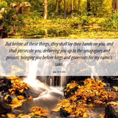 Picture 06 - Luke 21:12 ASV - But before all these things, they shall lay their - Bible Verse Picture
