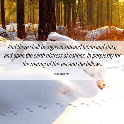 Picture 06 - Luke 21:25 ASV - And there shall be signs in sun and moon and - Bible Verse Picture