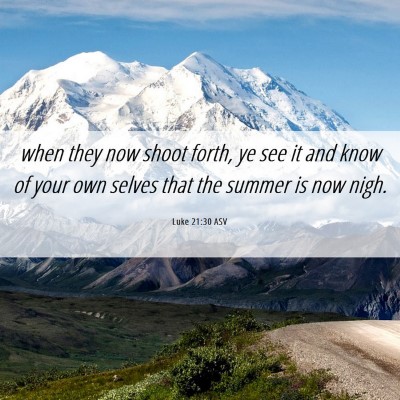Picture 06 - Luke 21:30 ASV - when they now shoot forth, ye see it and know of - Bible Verse Picture