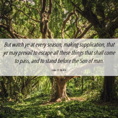 Picture 06 - Luke 21:36 ASV - But watch ye at every season, making - Bible Verse Picture