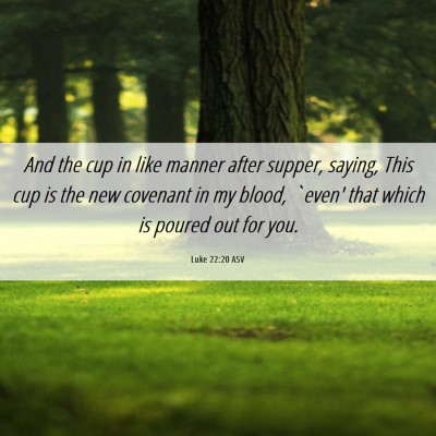 Picture 06 - Luke 22:20 ASV - And the cup in like manner after supper, saying, - Bible Verse Picture