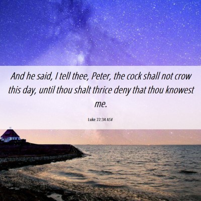 Picture 06 - Luke 22:34 ASV - And he said, I tell thee, Peter, the cock shall - Bible Verse Picture