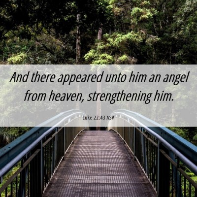 Picture 06 - Luke 22:43 ASV - And there appeared unto him an angel from heaven, - Bible Verse Picture