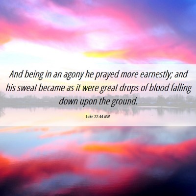 Picture 06 - Luke 22:44 ASV - And being in an agony he prayed more earnestly; - Bible Verse Picture