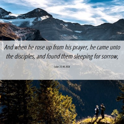 Picture 06 - Luke 22:45 ASV - And when he rose up from his prayer, he came unto - Bible Verse Picture