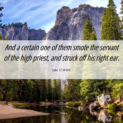 Picture 06 - Luke 22:50 ASV - And a certain one of them smote the servant of - Bible Verse Picture