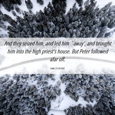 Picture 06 - Luke 22:54 ASV - And they seized him, and led him `away', and - Bible Verse Picture