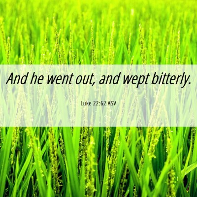 Picture 06 - Luke 22:62 ASV - And he went out, and wept - Bible Verse Picture