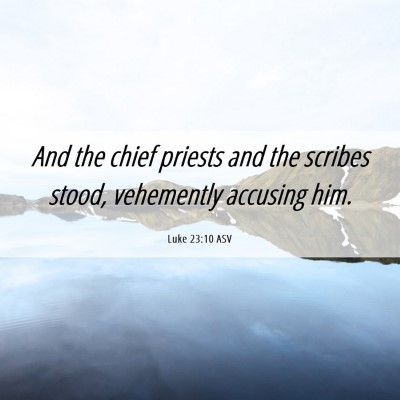 Picture 06 - Luke 23:10 ASV - And the chief priests and the scribes stood, - Bible Verse Picture