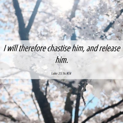 Picture 06 - Luke 23:16 ASV - I will therefore chastise him, and release - Bible Verse Picture