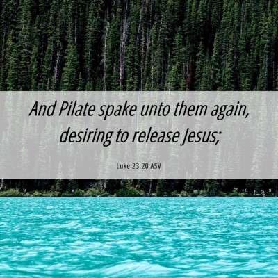Picture 06 - Luke 23:20 ASV - And Pilate spake unto them again, desiring to - Bible Verse Picture
