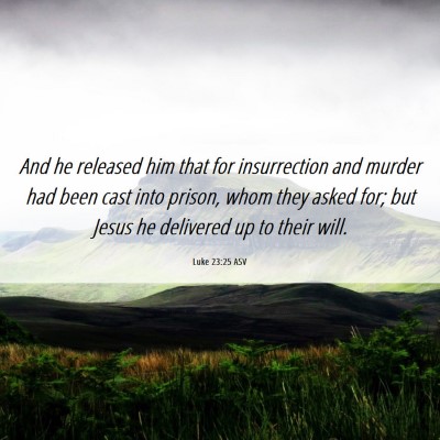 Picture 06 - Luke 23:25 ASV - And he released him that for insurrection and - Bible Verse Picture
