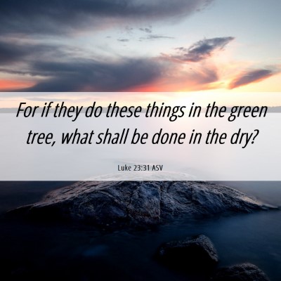 Picture 06 - Luke 23:31 ASV - For if they do these things in the green tree, - Bible Verse Picture