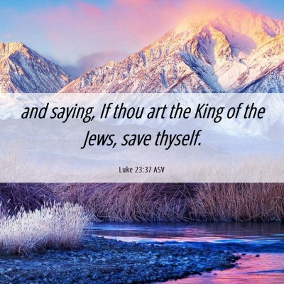 Picture 06 - Luke 23:37 ASV - and saying, If thou art the King of the Jews, - Bible Verse Picture