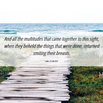 Picture 06 - Luke 23:48 ASV - And all the multitudes that came together to this - Bible Verse Picture