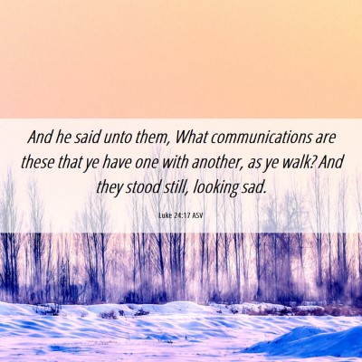 Picture 06 - Luke 24:17 ASV - And he said unto them, What communications are - Bible Verse Picture