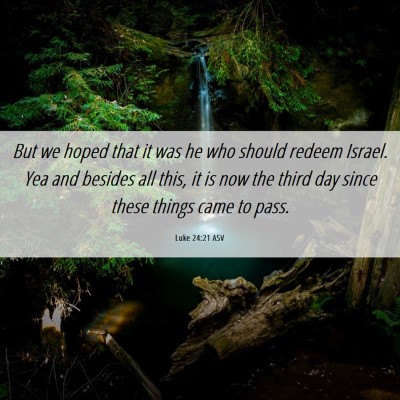 Picture 06 - Luke 24:21 ASV - But we hoped that it was he who should redeem - Bible Verse Picture