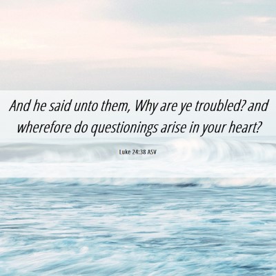 Picture 06 - Luke 24:38 ASV - And he said unto them, Why are ye troubled? and - Bible Verse Picture