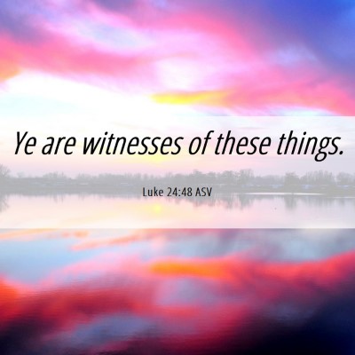 Picture 06 - Luke 24:48 ASV - Ye are witnesses of these - Bible Verse Picture