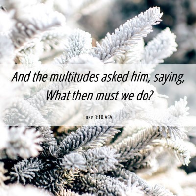 Picture 06 - Luke 3:10 ASV - And the multitudes asked him, saying, What then - Bible Verse Picture