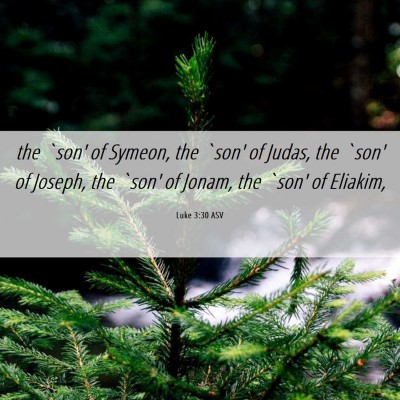 Picture 06 - Luke 3:30 ASV - the `son' of Symeon, the `son' of Judas, the - Bible Verse Picture