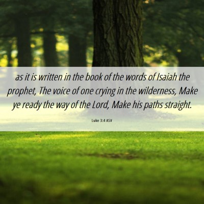 Picture 06 - Luke 3:4 ASV - as it is written in the book of the words of - Bible Verse Picture