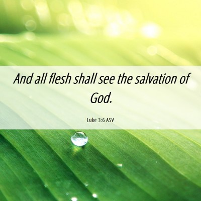 Picture 06 - Luke 3:6 ASV - And all flesh shall see the salvation of - Bible Verse Picture