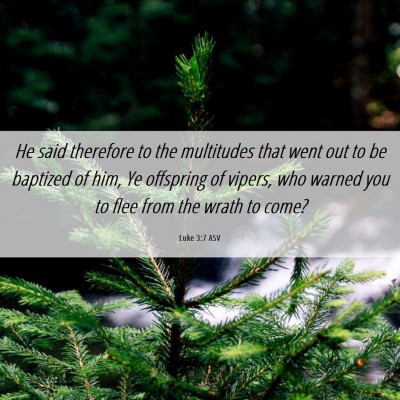 Picture 06 - Luke 3:7 ASV - He said therefore to the multitudes that went out - Bible Verse Picture