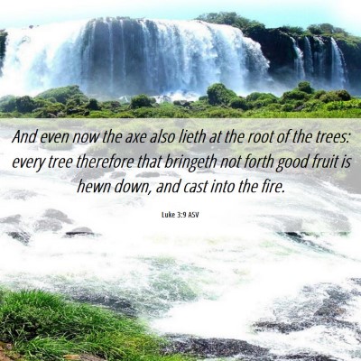 Picture 06 - Luke 3:9 ASV - And even now the axe also lieth at the root of - Bible Verse Picture